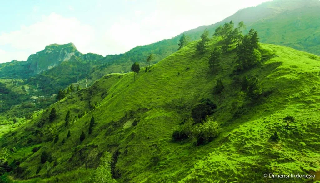 cekong hills enrekang