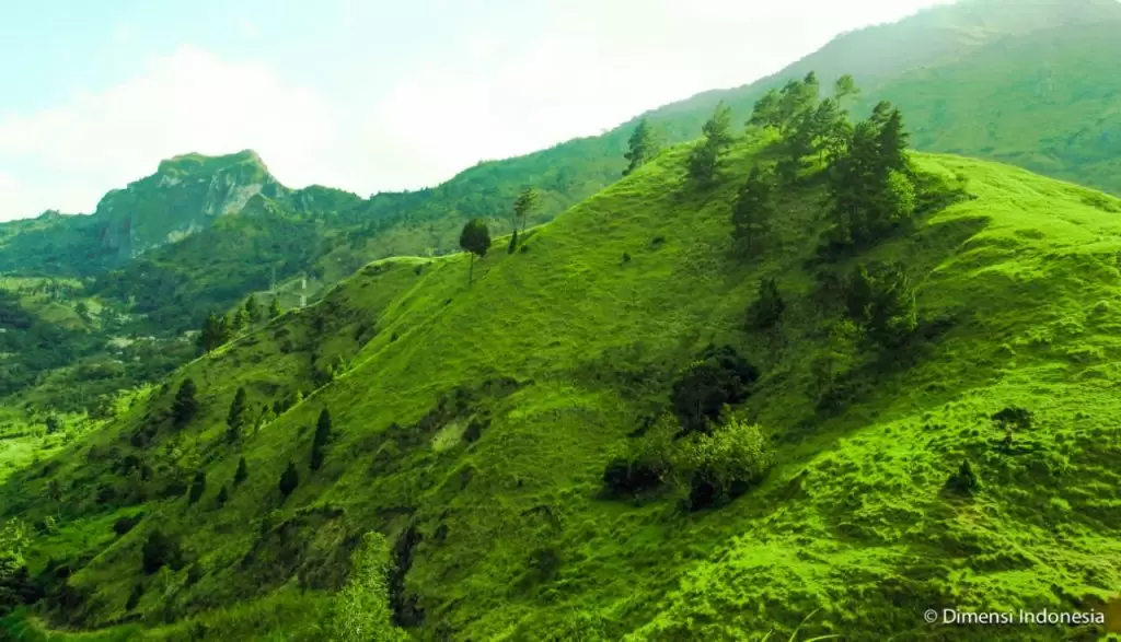 cekong hills enrekang