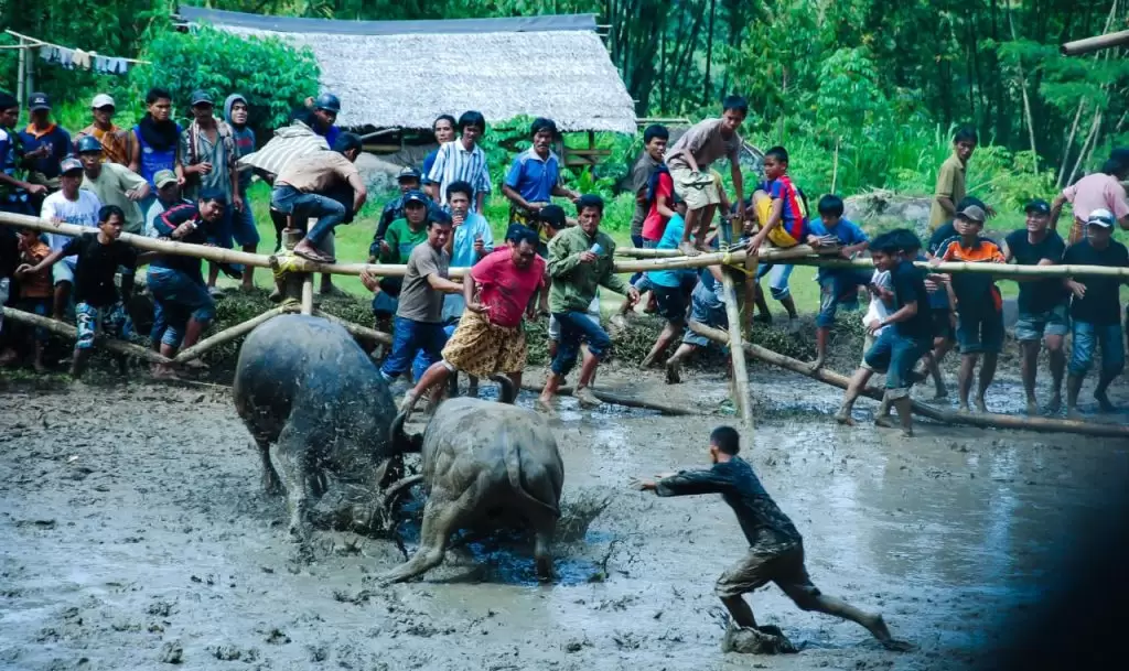tana toraja