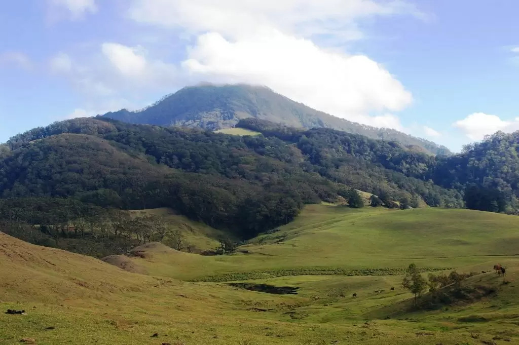 Gunung Mutis