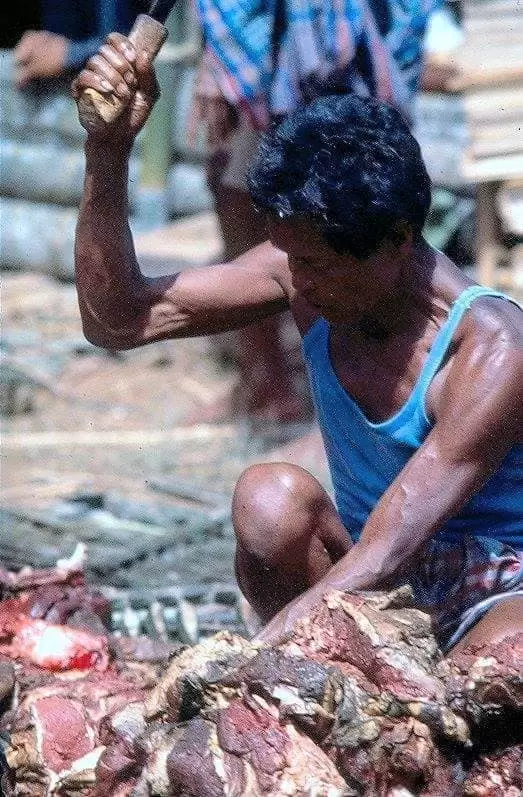 Pemotongan daging kerbau
