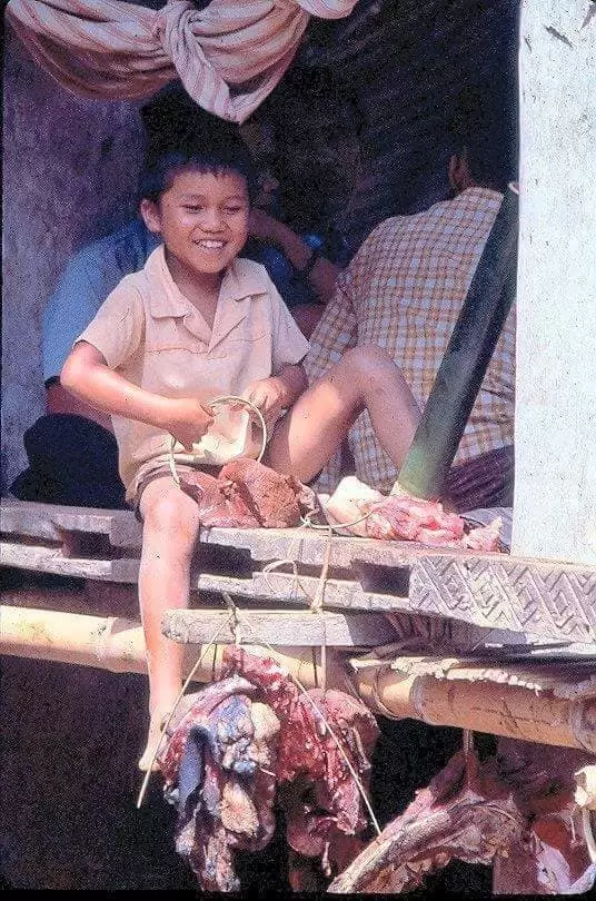 Seorang anak tengah mengikat daging kerbau