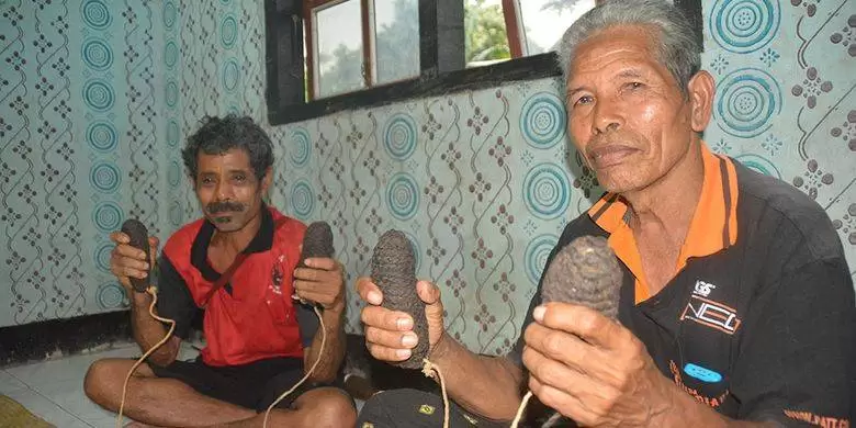 Tinju Tradisional Nagekeo