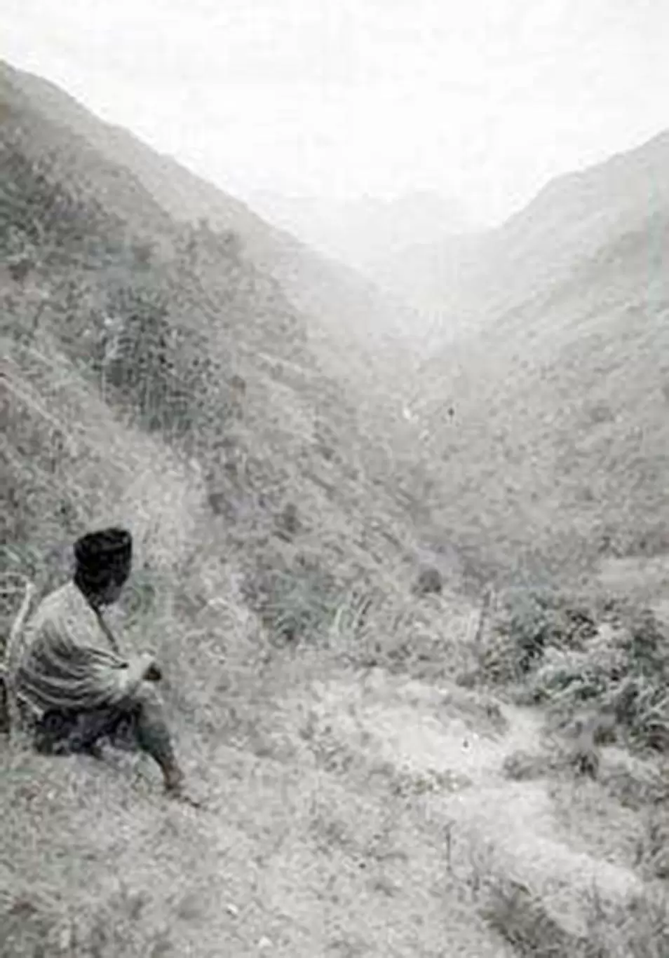 Menikmati alam yang indah.