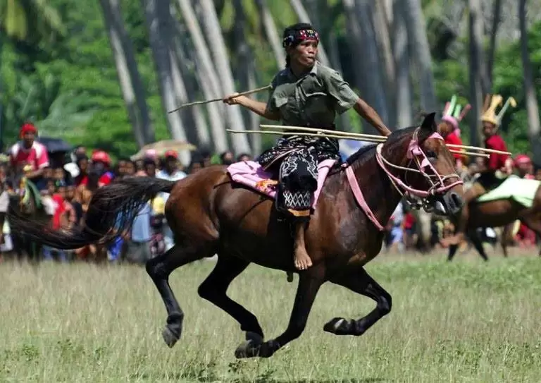 Tradisi Pasola