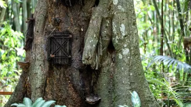 Kambira Baby Graves