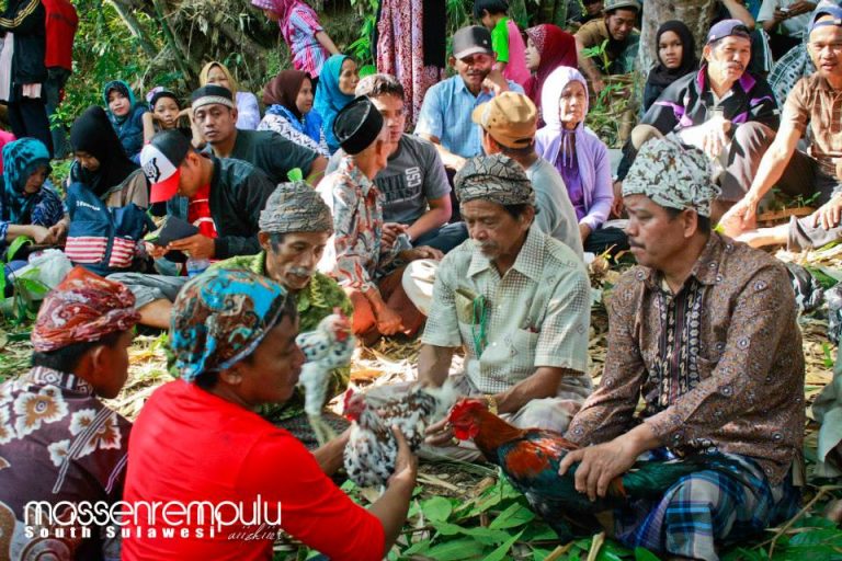 Pesta Adat Pangewaran Kaluppini, Tradisi Maccera Manurung yang Diadakan 8 Tahun Sekali