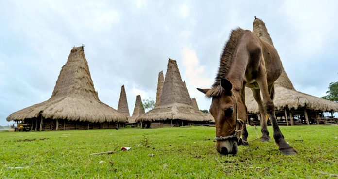 Perbukitan Sabana