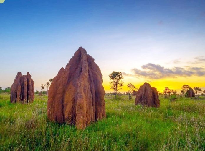 Taman Wisata 1.000 Musamus