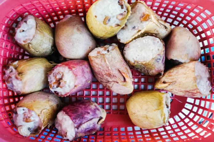 Kue Kantong Semar